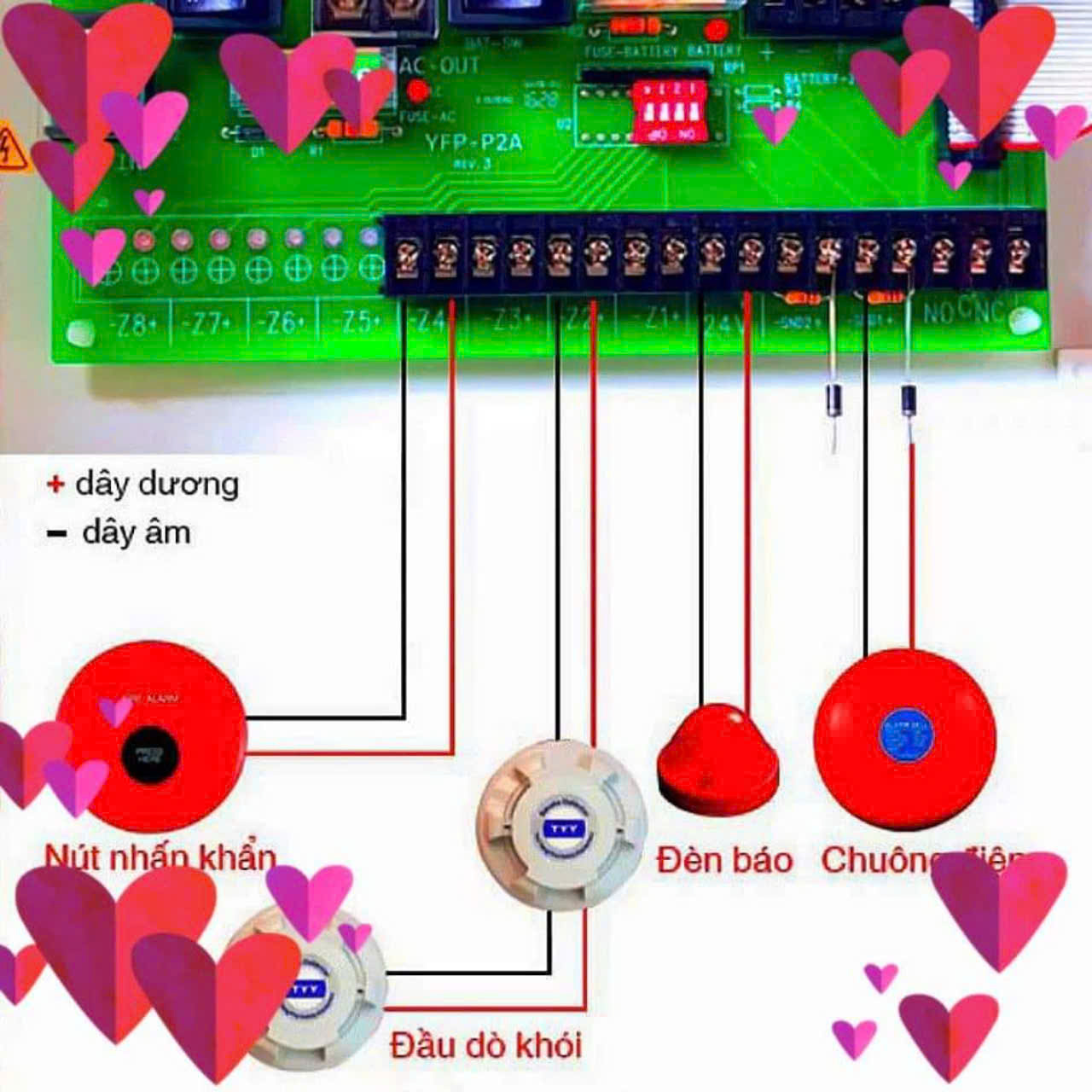 TẠI SAO CHỌN CHÚNG TÔI?